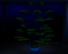 Midnight Getaway Plant 2