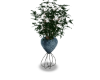 Plant w/ Blue Pot