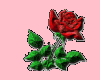 *Q Animated Love Rose