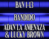 BAN 1-13