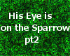 Eye on Sparrow pt 2