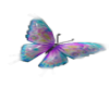 Butterfly v2
