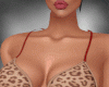 Rebel bundle 1