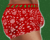 xmas boxer 4