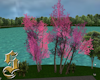 1620   Pink Trees