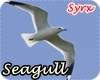 ! Animated Seagull