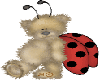 ladybug4 bear