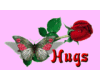 Butterfly Rose Hugs