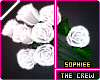 .V-Day White Roses/7Pose