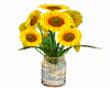 Sunflowers in Glass Jar