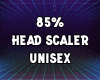 X. HEAD SCALES 85%