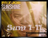 Fat Joe Sunshine
