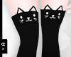 Ⓐ Black Cat Stockings