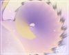 Clown | Pom Pup Tail