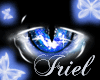 ~ Neko Eyes Blue