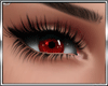 T* Red Eyes M/F
