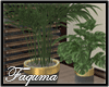 ℱ | Decorative Plant