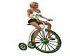 *ST. PATTY* TRICYCLE
