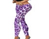 Purple Leopard Muse Pant