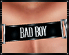 Bad Boy Harness