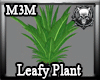 *M3M* M3M Leafy Plant