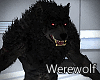 Werewolf