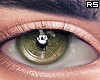 金 Cocodile Eyes R