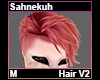 Sahnekuh Hair M V2