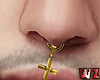 wz Cross Nose Animated G