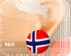 [Nx] Norway Earrings