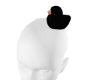 Black Ducky