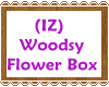 (IZ) Woodsy Flower Box