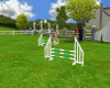 Equestrian Obstacle