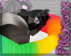 *PBC* Rainbow Pet Bed