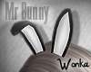 W° Mr Bunny Ears