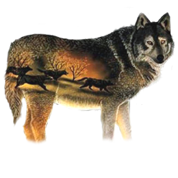 sticker_934706_1638857