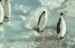 sticker_24171416_39020317