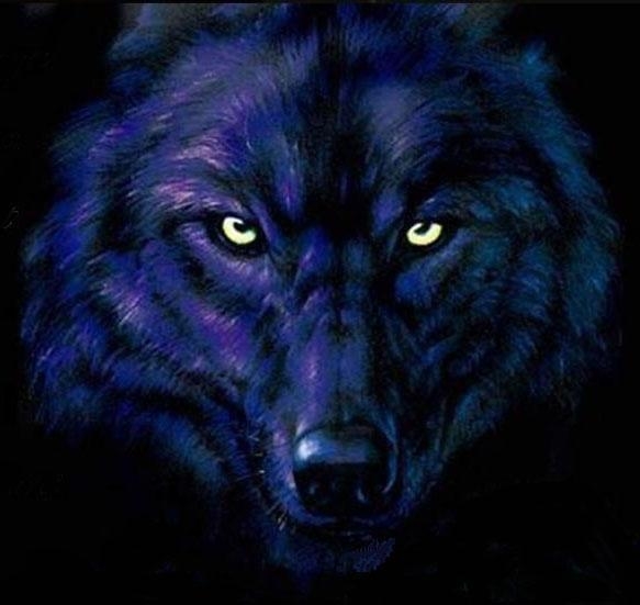 sticker_23043679_35878129