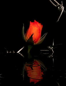 [stíc~kér_41824659_95]