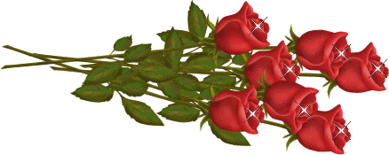 adesivo_303620769_247