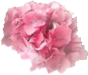 Etiqueta_11213432_47546974