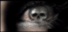 sticker_59329185_74