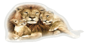 sticker_31236749_43416930