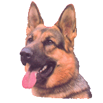 sticker_1523144_3570103