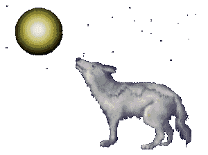 sticker_21588306_31033373