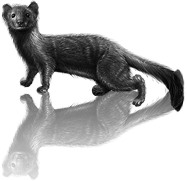 sticker_10188594_12830315