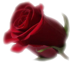 sticker_342336052_2