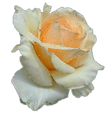 sticker_966878_32976890