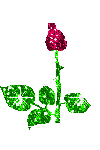 Sticker_293291150_7