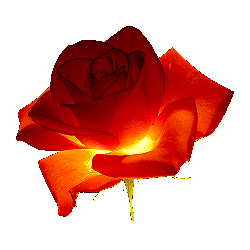 [stíc~kér_12461039_18653258]